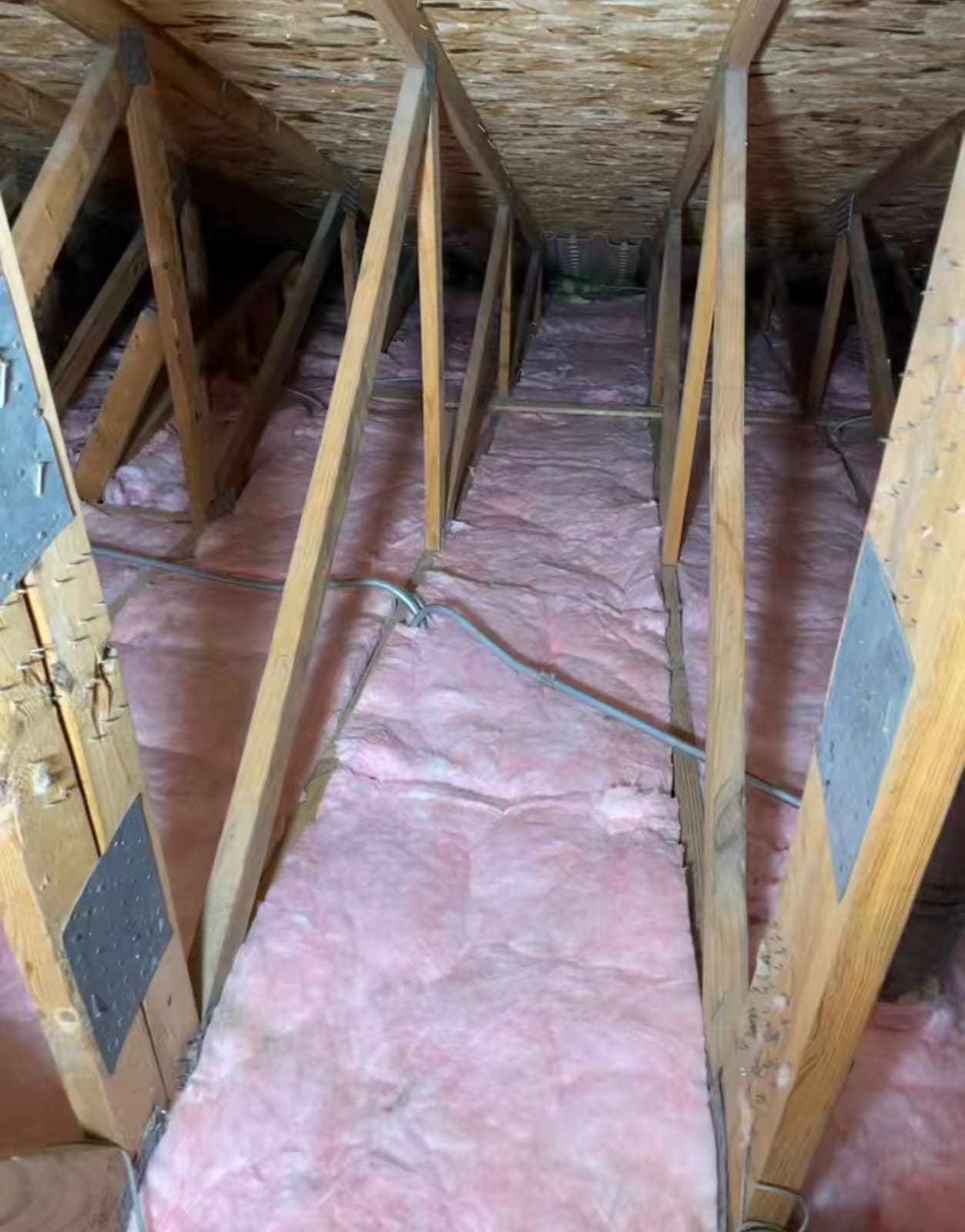 Pink blown-in fiberglass insulation covering the attic floor between the roof trusses of a house, with the roof sheathing and the wiring runs visible above